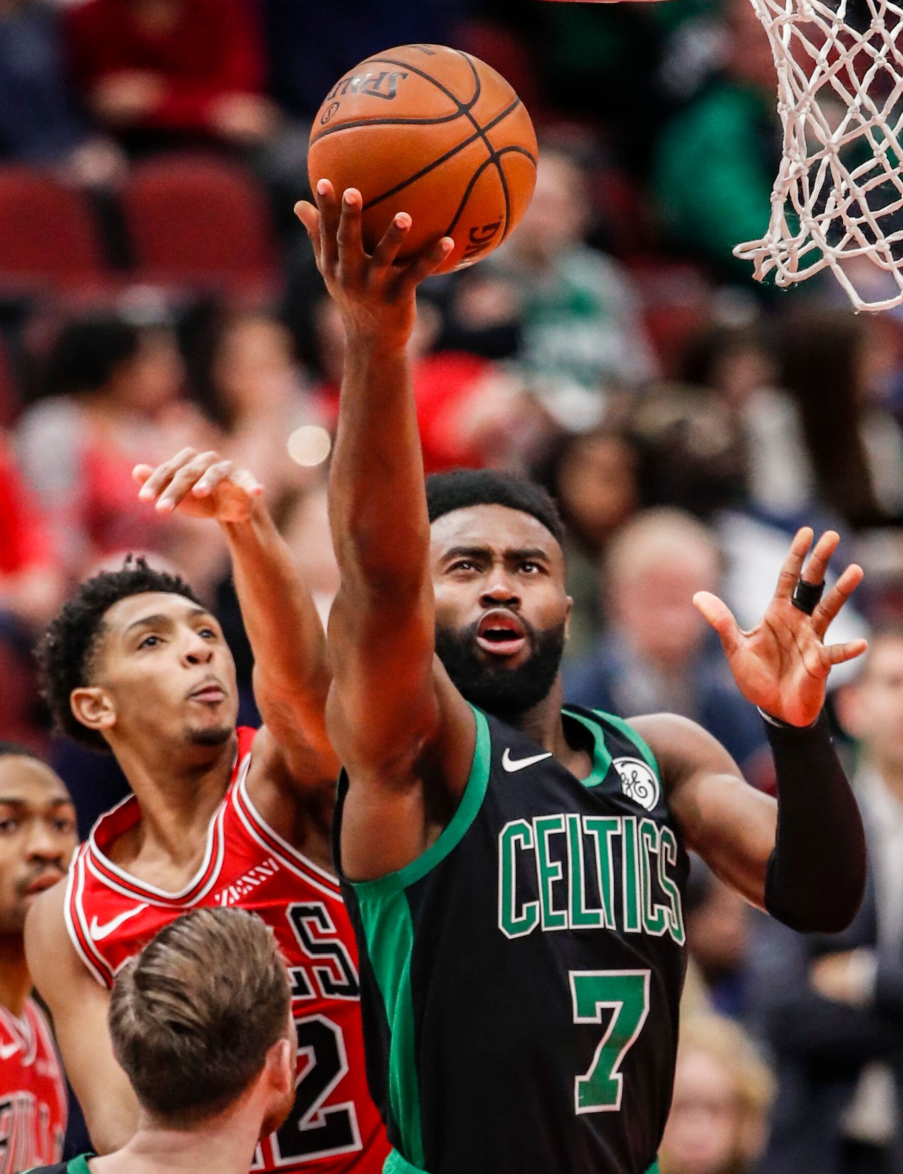 后卫人数占 后卫人数占